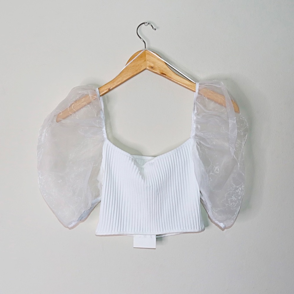 Zara Sheer Puff Sleeves Top with Organza Inserts - Picture 5 of 11